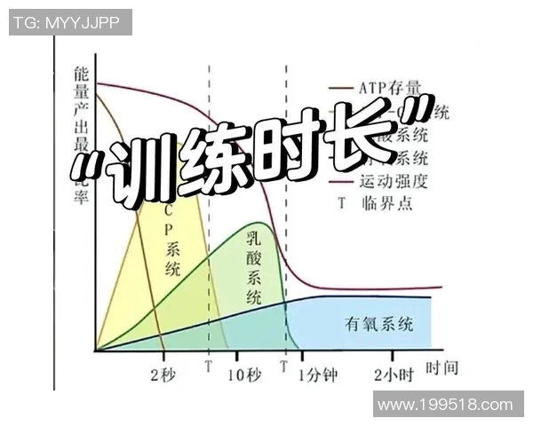 科学力量训练提升身体素质与肌肉增长的系统方法与技巧解析